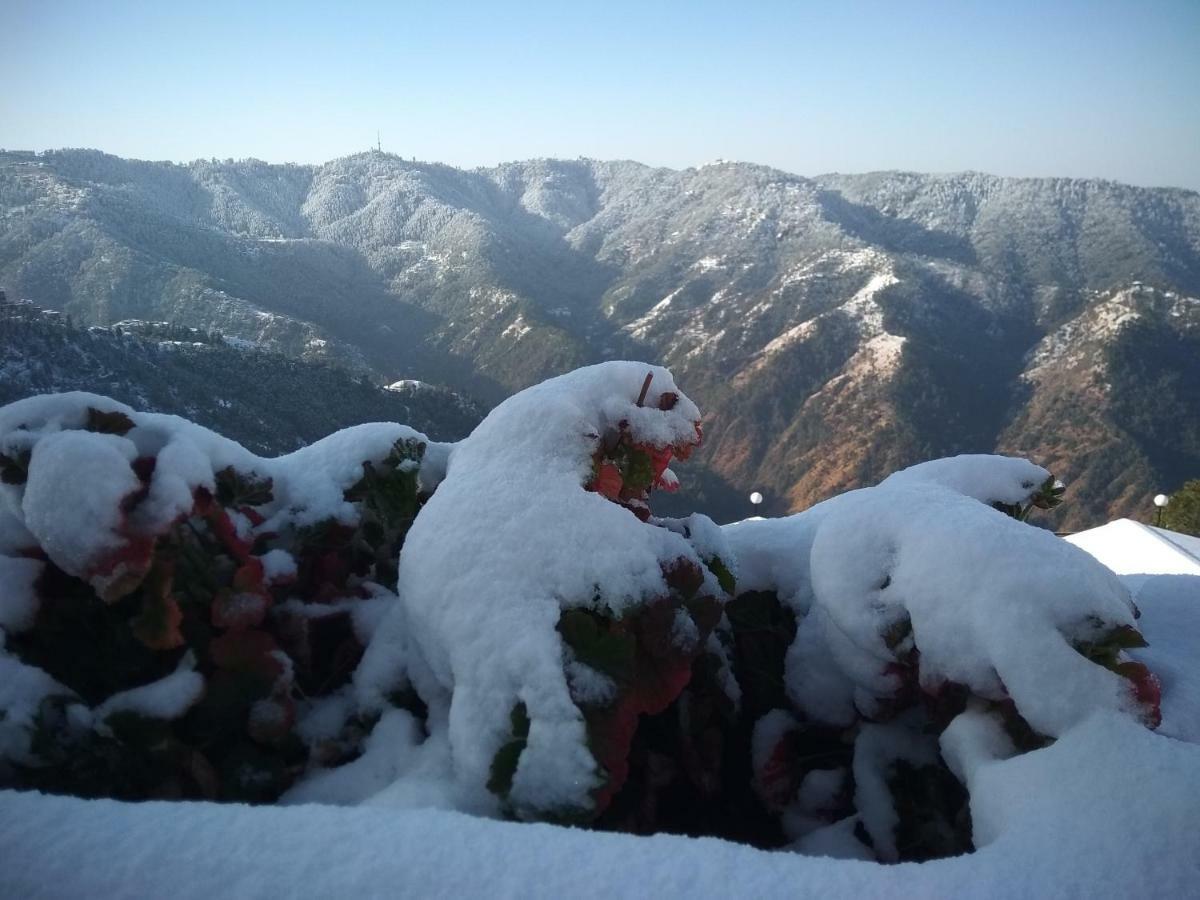 Spangle Heights Shimla, Suites And Residences Dış mekan fotoğraf